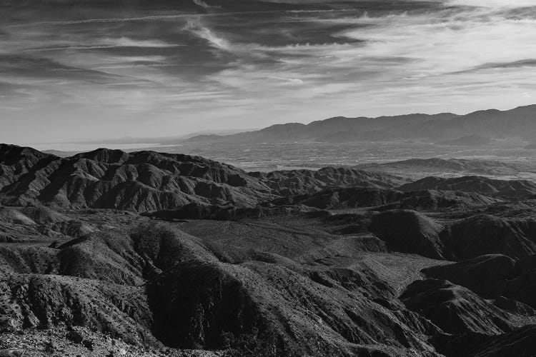 Joshua Tree National Park XXIX