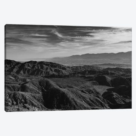 Joshua Tree National Park XXIX Canvas Print #BTY463} by Bethany Young Canvas Print