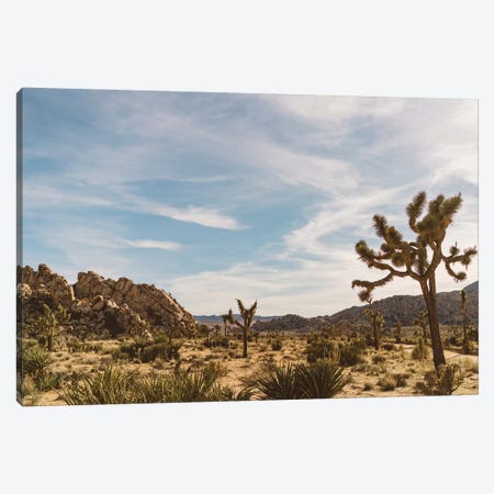 Joshua Tree National Park XXVI Canvas Print #BTY465} by Bethany Young Canvas Art