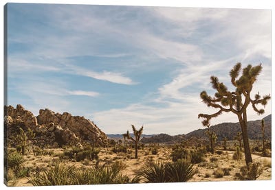 Joshua Tree National Park XXVI Canvas Art Print - Desert Landscape Photography