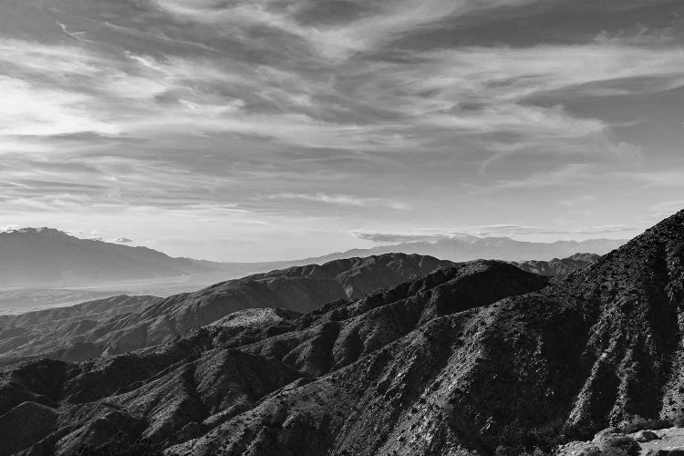 Joshua Tree National Park XXVII