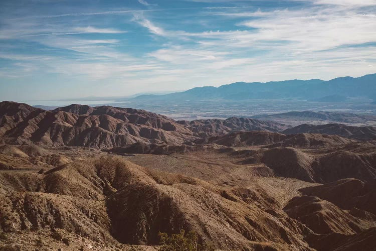 Joshua Tree National Park XXVIII