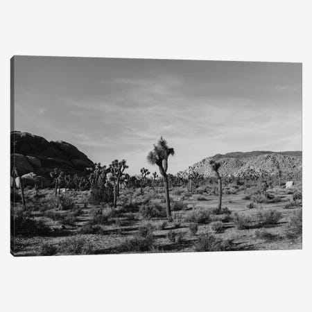 Joshua Tree National Park XXXI Canvas Print #BTY468} by Bethany Young Canvas Art Print
