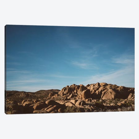 Joshua Tree National Park XXXII Canvas Print #BTY469} by Bethany Young Art Print