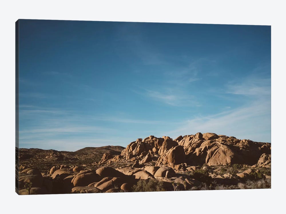Joshua Tree National Park XXXII by Bethany Young 1-piece Canvas Artwork