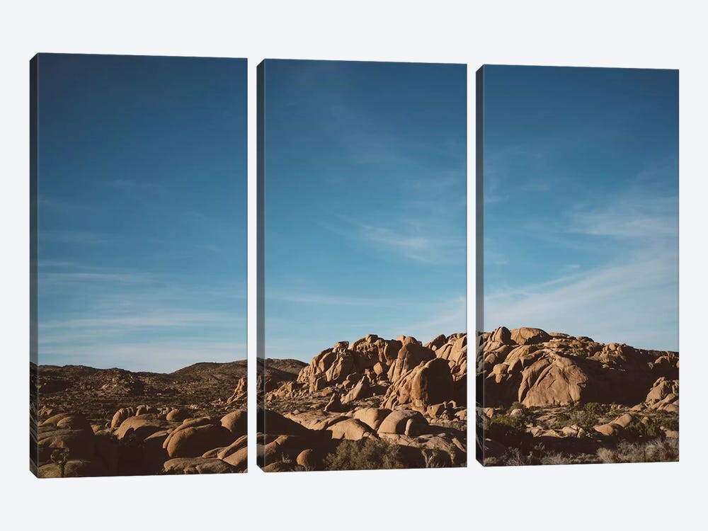 Joshua Tree National Park XXXII by Bethany Young 3-piece Canvas Art