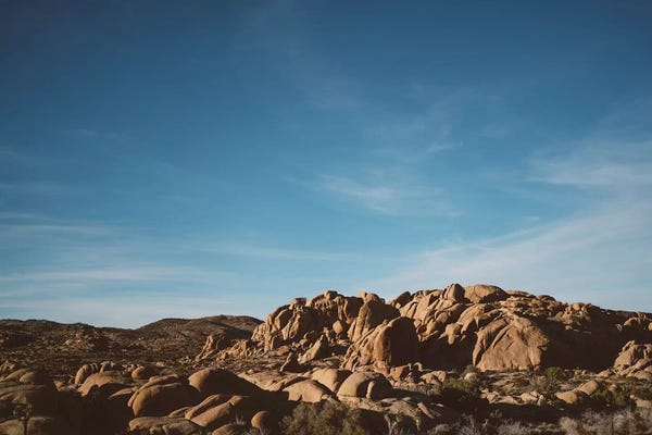 Joshua Tree National Park: Joshua Tree National Park XXXII by Bethany Young