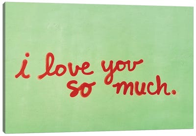 I Love You So Much II Canvas Art Print - Love Typography