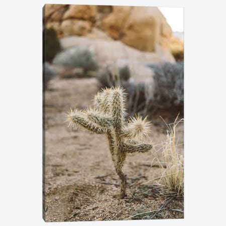 Joshua Tree National Park XVI Canvas Print #BTY48} by Bethany Young Canvas Wall Art