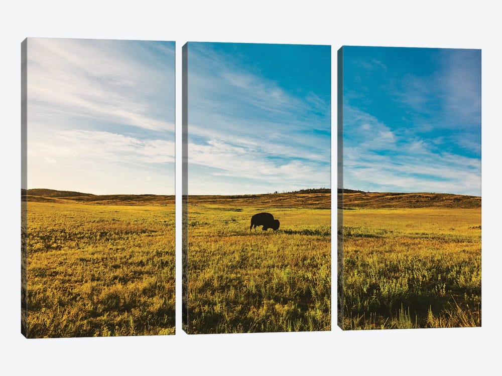 King of the Hill by Bethany Young 3-piece Canvas Wall Art