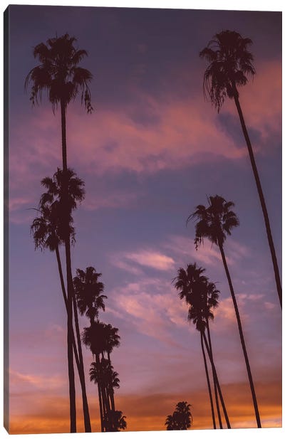 LA Sunset Canvas Art Print - Palm Tree Art