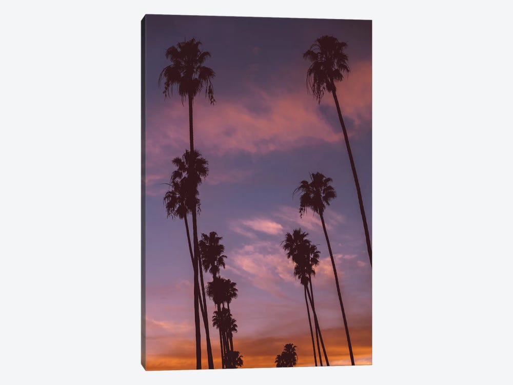 LA Sunset by Bethany Young 1-piece Canvas Wall Art