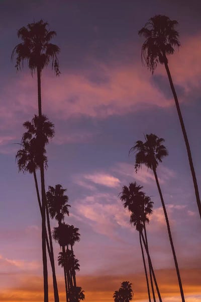 California: LA Sunset by Bethany Young