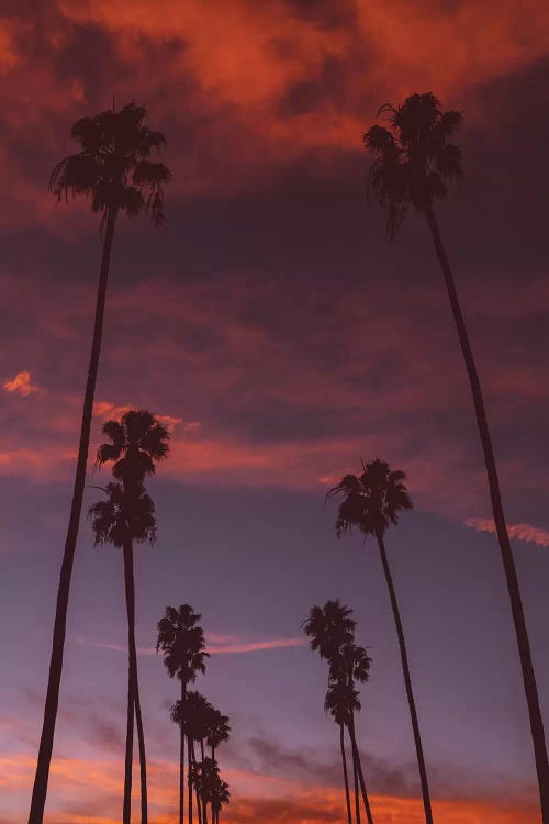 LA Sunset III