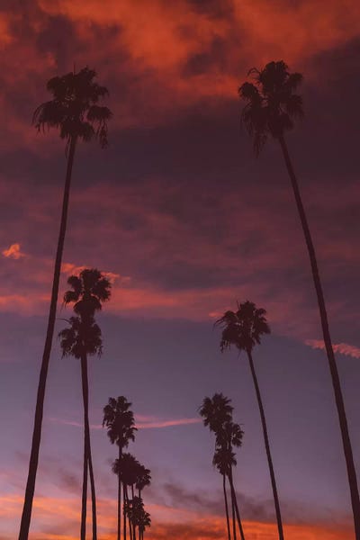 Los Angeles: LA Sunset III by Bethany Young
