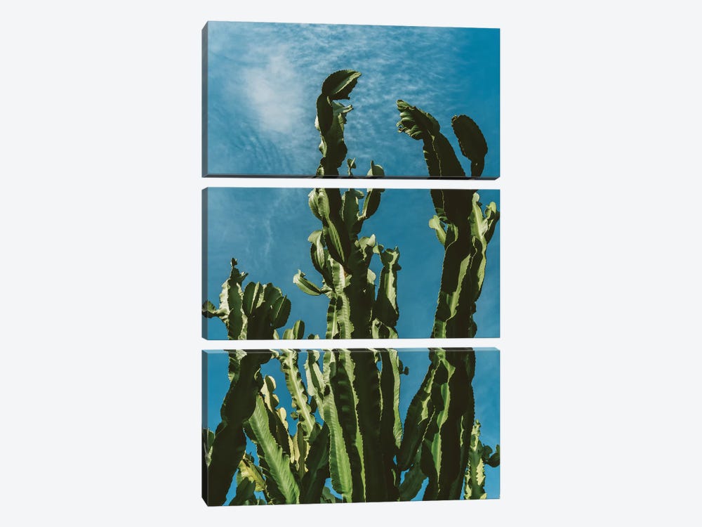 Cactus Sky II by Bethany Young 3-piece Canvas Artwork