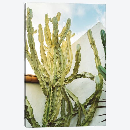 California Cactus Canvas Print #BTY578} by Bethany Young Canvas Art Print