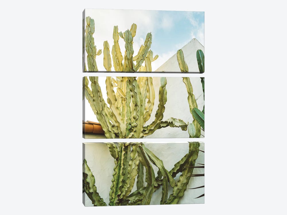 California Cactus by Bethany Young 3-piece Art Print