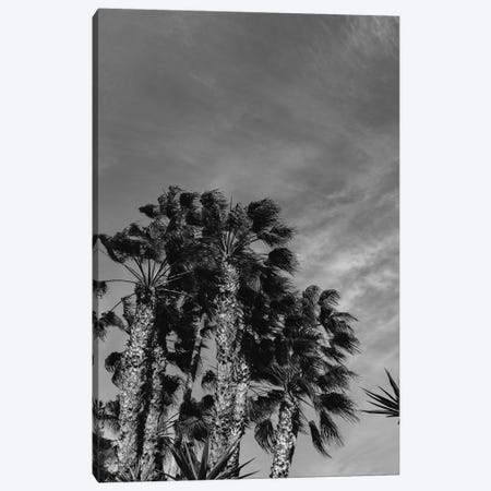 Monochrome California Sky Canvas Print #BTY582} by Bethany Young Canvas Artwork
