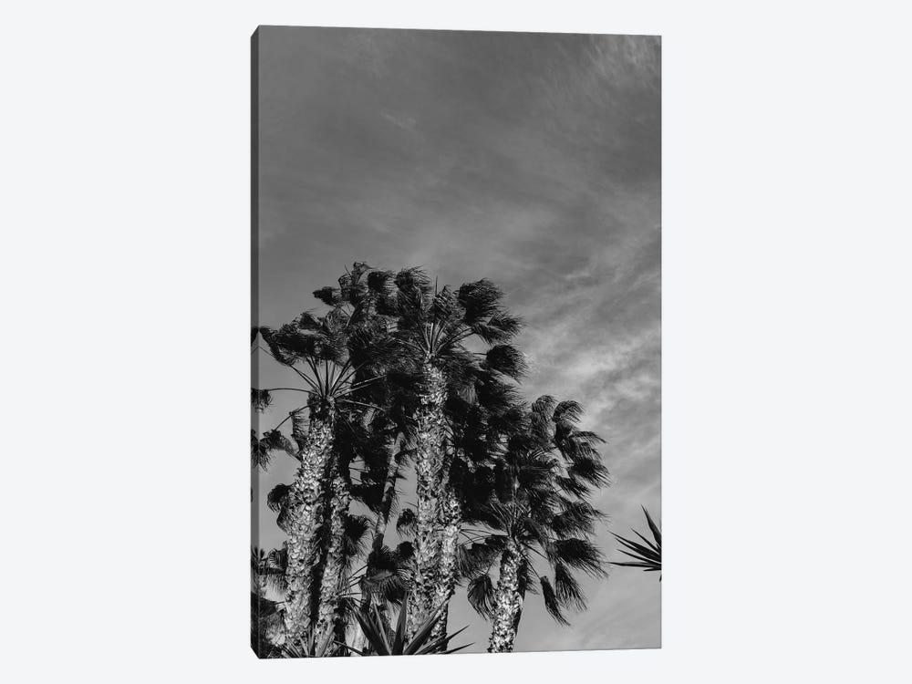 Monochrome California Sky by Bethany Young 1-piece Canvas Art