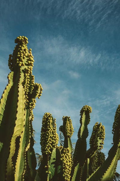 Reach for the Sky by Bethany Young multi panel art