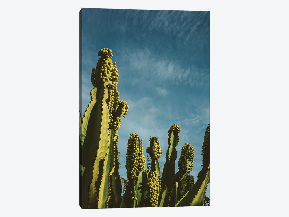 Reach for the Sky by Bethany Young 1-piece Canvas Print