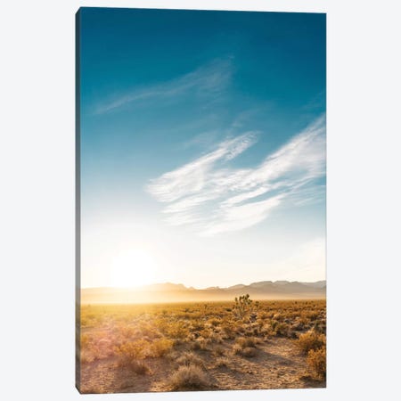 Nevada Desert Sunrise Canvas Print #BTY58} by Bethany Young Canvas Print