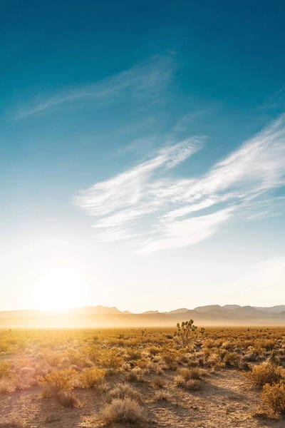 Nevada: Nevada Desert Sunrise by Bethany Young