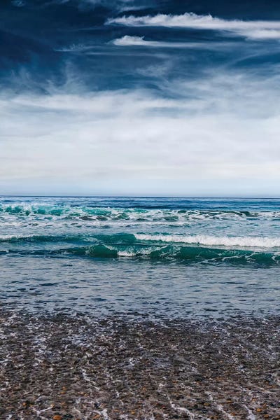 San Diego: Torrey Pines San Diego III by Bethany Young