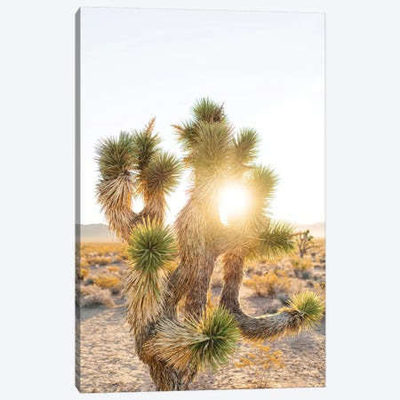 Nevada Desert Sunrise II Canvas Print #BTY59} by Bethany Young Canvas Art Print