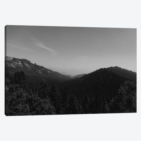 Sequoia National Park II Canvas Print #BTY609} by Bethany Young Canvas Art Print