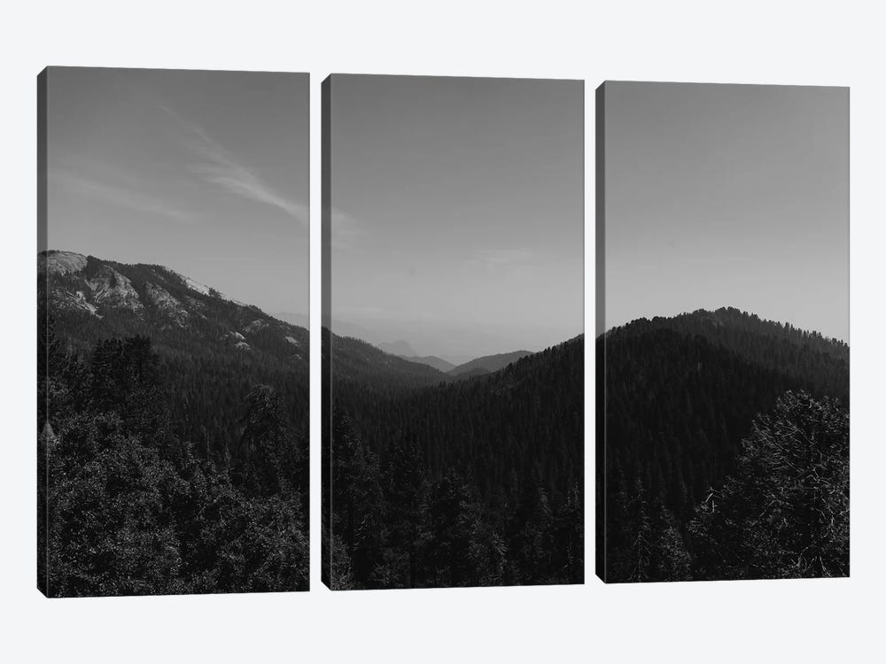 Sequoia National Park II by Bethany Young 3-piece Canvas Print
