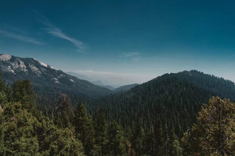 Sequoia National Park