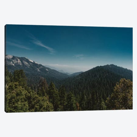 Sequoia National Park Canvas Print #BTY617} by Bethany Young Canvas Print
