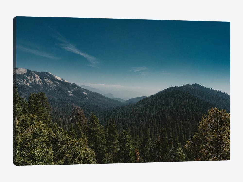 Sequoia National Park by Bethany Young 1-piece Canvas Art