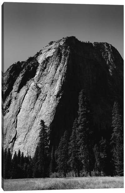 El Capitan III Canvas Art Print - Yosemite National Park Art