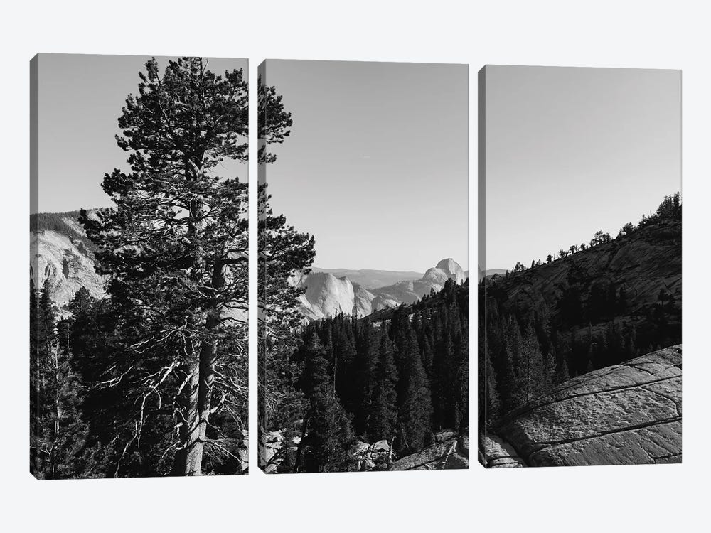 Olmsted Point, Yosemite National Park by Bethany Young 3-piece Canvas Artwork