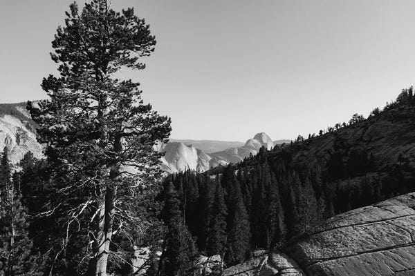 Yosemite National Park: Olmsted Point, Yosemite National Park by Bethany Young