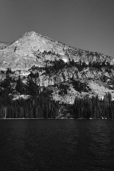 Black & White Florals: Tenaya Lake, Yosemite National Park by Bethany Young