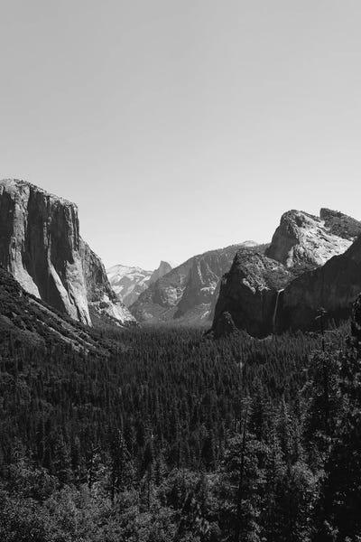 Black & White Florals: Tunnel View, Yosemite National Park III by Bethany Young