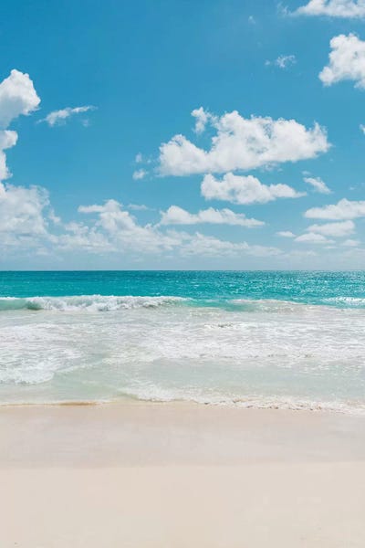 Oahu: Oahu Hawaii III by Bethany Young