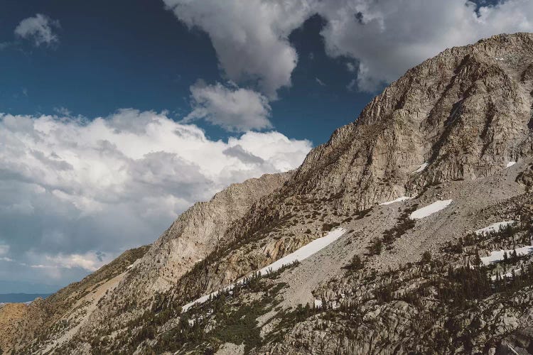 Yosemite National Park III