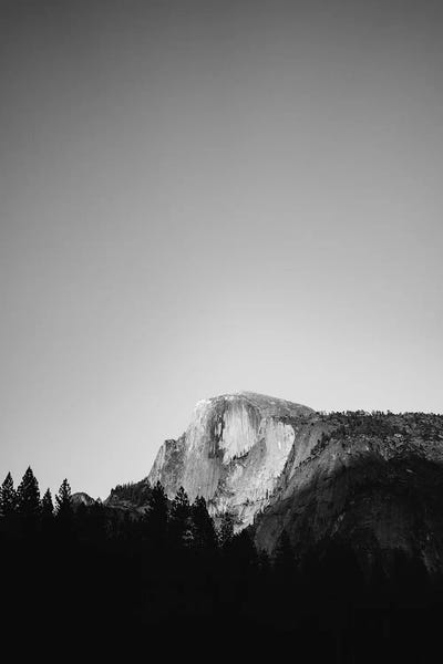 Yosemite National Park IX by Bethany Young canvas print