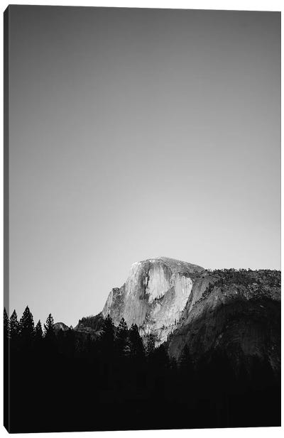 Yosemite National Park IX Canvas Art Print - Bethany Young