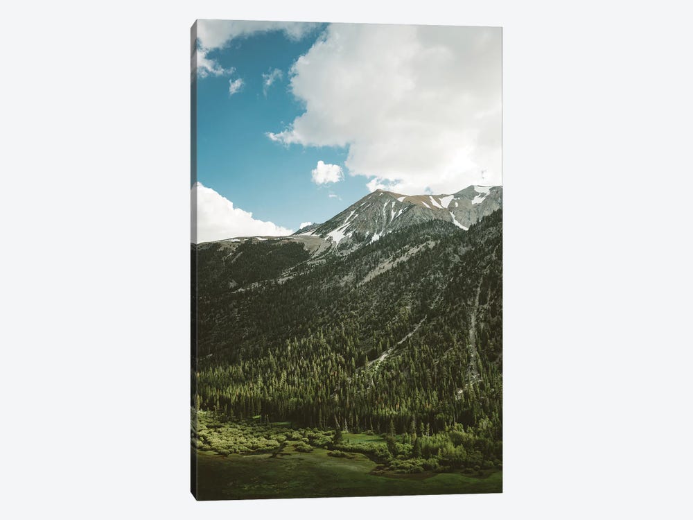 Yosemite National Park V by Bethany Young 1-piece Canvas Art