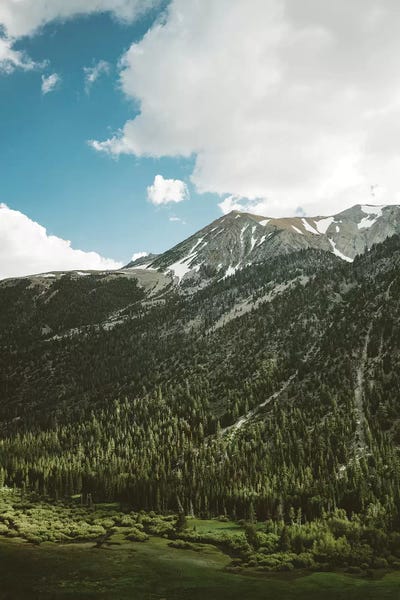 Yosemite National Park: Yosemite National Park V by Bethany Young