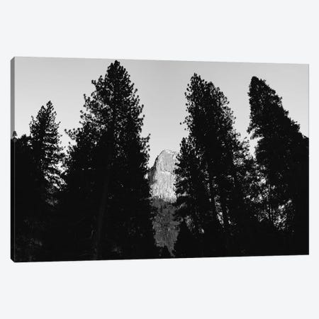Yosemite National Park VII Canvas Print #BTY675} by Bethany Young Canvas Art Print