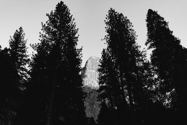 Yosemite National Park: Yosemite National Park VII by Bethany Young