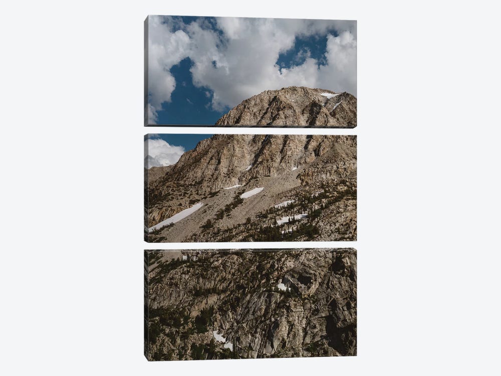 Yosemite National Park X by Bethany Young 3-piece Art Print