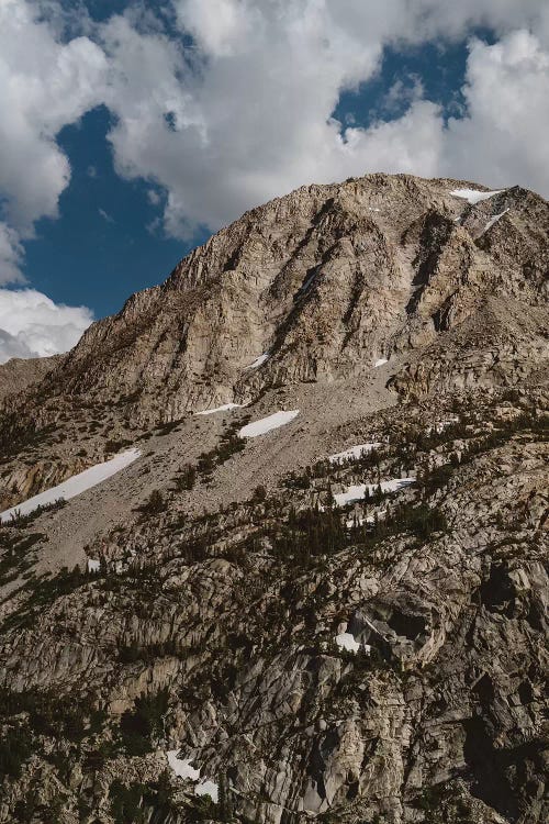 Yosemite National Park X